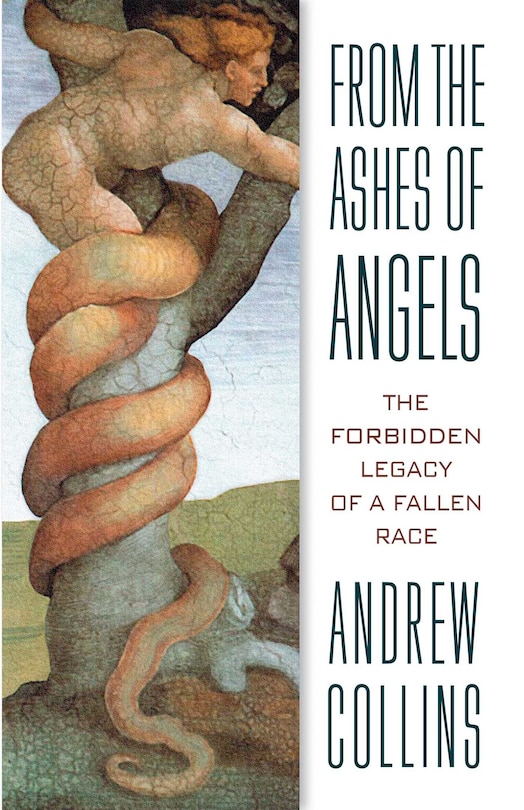 Front cover_From the Ashes of Angels