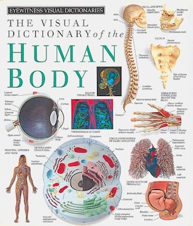 Front cover_Eyewitness Visual Dictionaries: The Visual Dictionary Of The Human Body