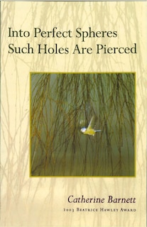 Couverture_Into Perfect Spheres Such Holes Are Pierced
