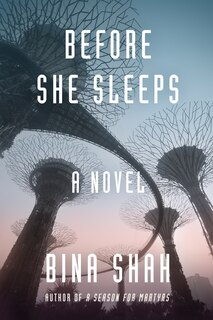 Front cover_Before She Sleeps