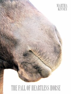 Couverture_The Fall of Heartless Horse