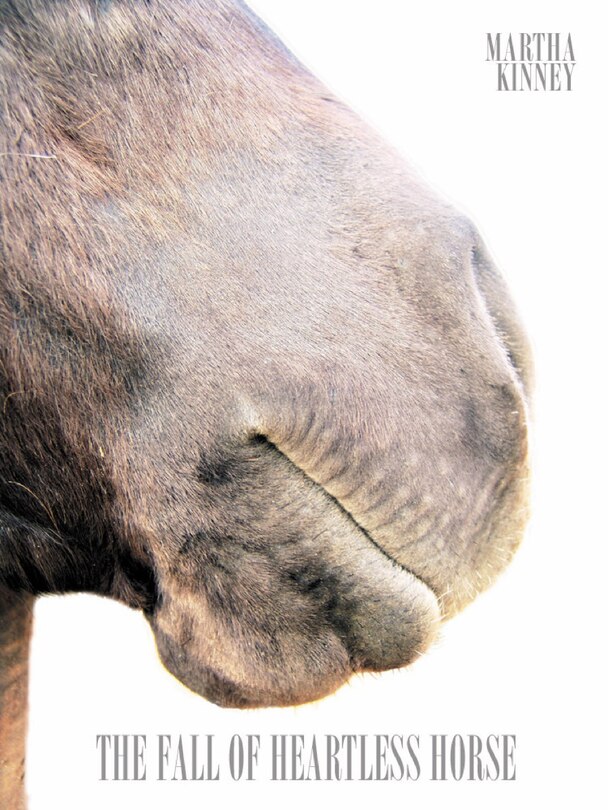 Couverture_The Fall of Heartless Horse