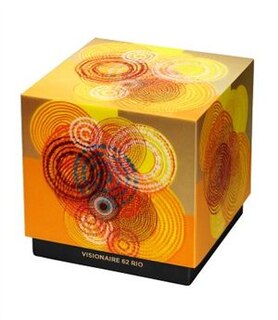 Front cover_Visionaire No. 62 Rio, Beatriz Millhazes Case