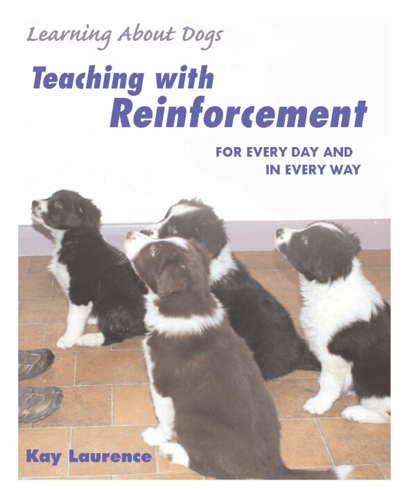 Front cover_Teaching with Reinforcement
