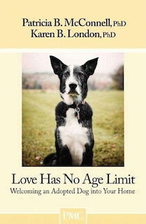 Love Has No Age Limit: Welcoming an Adopted Dog Into Your Home