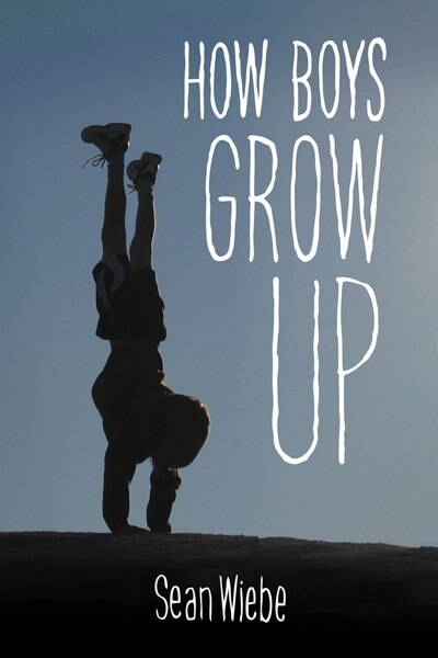 Front cover_How Boys Grow Up