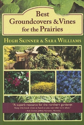 Best Groundcovers and Vines for the Prairies