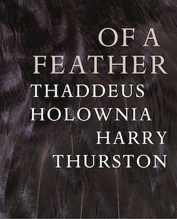 Couverture_of a feather