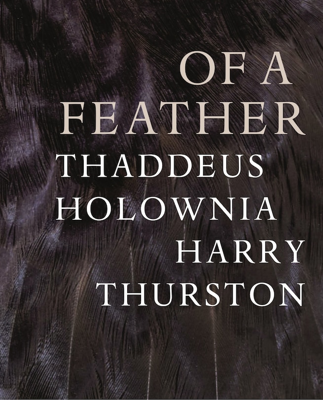 Couverture_of a feather