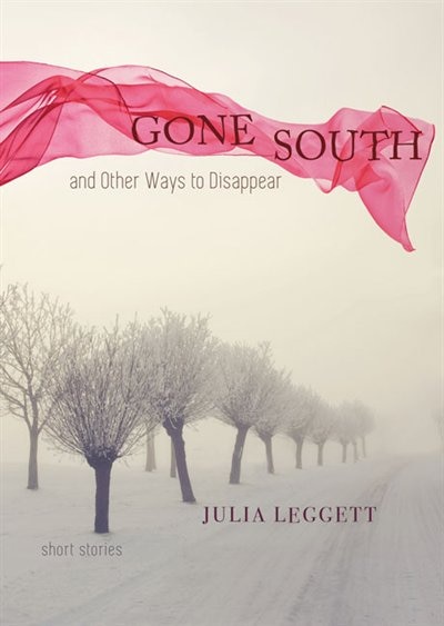 Couverture_Gone South and Other Ways to Disappear