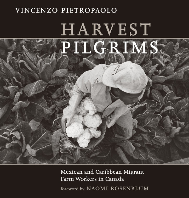 Front cover_Harvest Pilgrims
