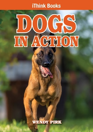 Dogs in Action