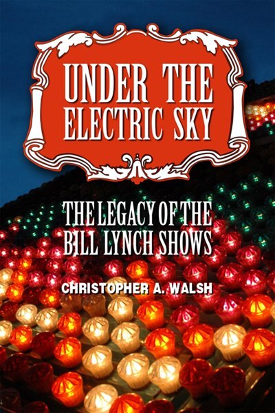 Front cover_Under the Electric Sky