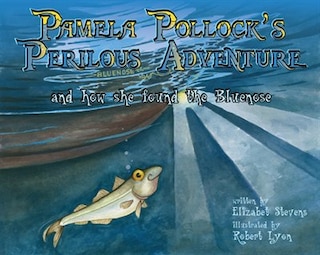 Front cover_Pamela Pollock's Perilous Adventure