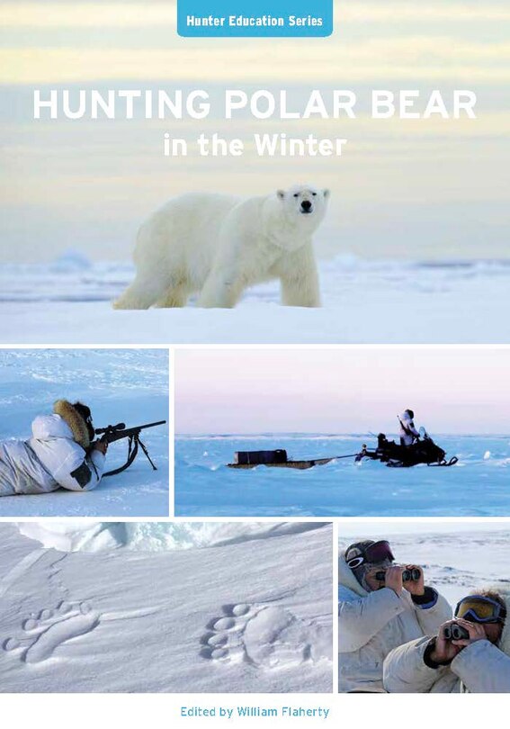 Hunting Polar Bear In The Winter