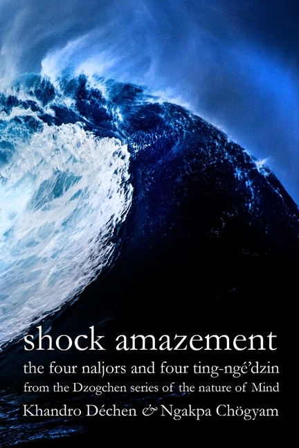 Front cover_Shock Amazement