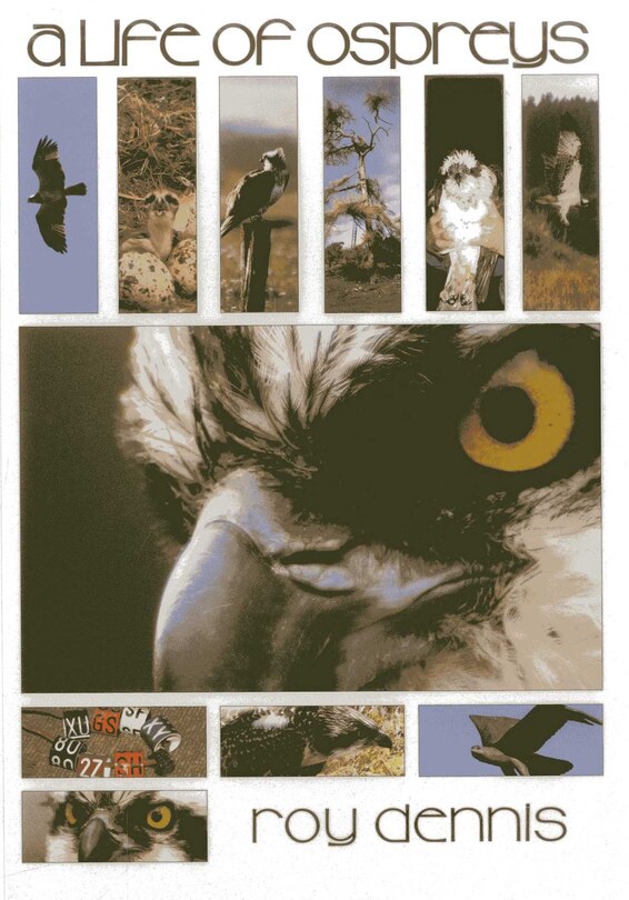 Front cover_Life of Ospreys