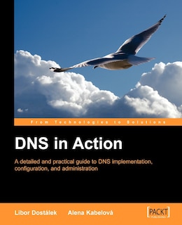 Couverture_DNS in Action