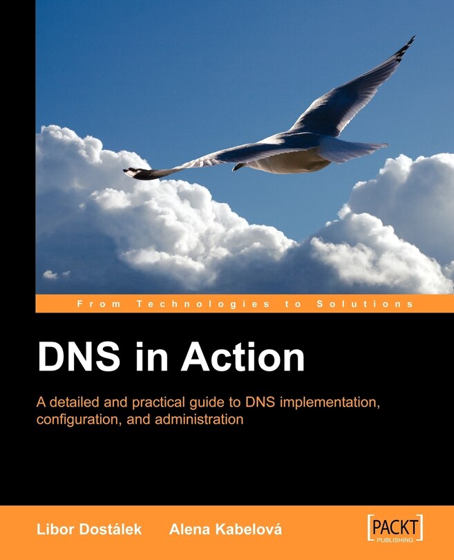 Couverture_DNS in Action