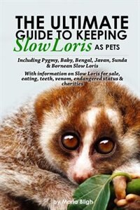 The Ultimate Guide to Keeping Slow Loris as Pets including Pygmy, Baby, Bengal, Javan, Sunda & Bornean Slow Loris. With Information on Slow Loris For Sale, Eating, Teeth, Venom, Endangered Status & Charities