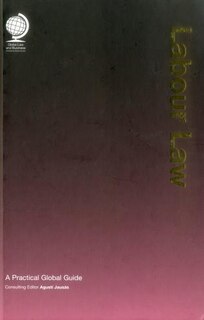 Labour Law: A Practical Global Guide