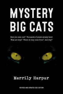 Front cover_Mystery Big Cats