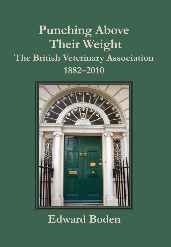 Front cover_Punching Above Their Weight