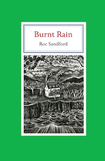 Couverture_Burnt Rain