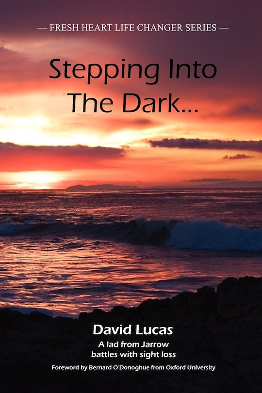 Front cover_Stepping Into the Dark
