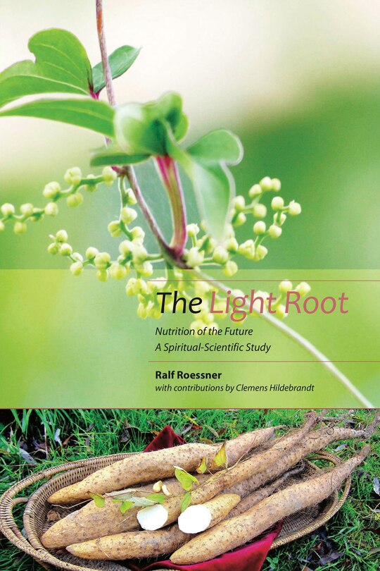 Front cover_The Light Root
