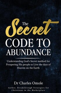 Front cover_The Secret Code to Abundance