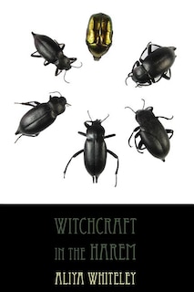 Couverture_Witchcraft in the Harem