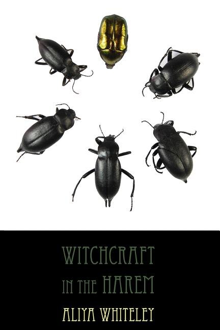Couverture_Witchcraft in the Harem
