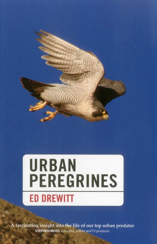 Front cover_Urban Peregrines