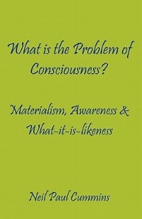 Front cover_What Is The Problem Of Consciousness?