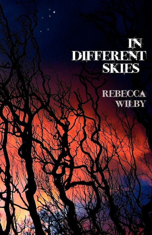 Front cover_In Different Skies