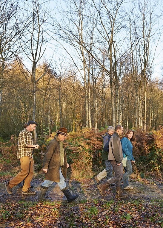 Front cover_Living With Trees