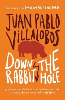 Front cover_Down the Rabbit Hole
