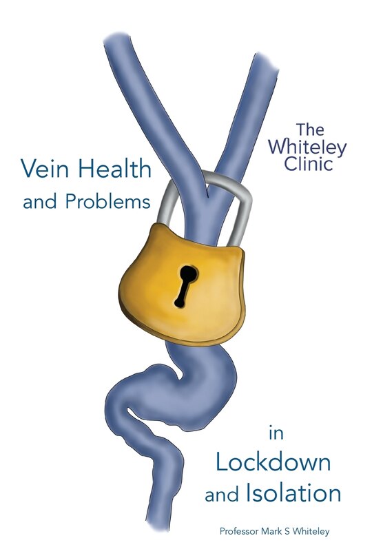 Couverture_Vein Health and Problems in Lockdown and Isolation