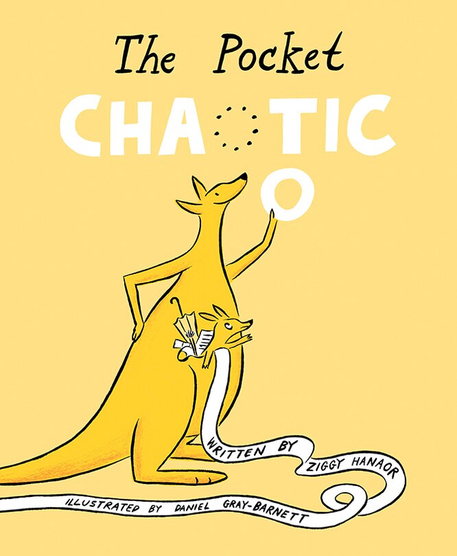 Couverture_The Pocket Chaotic