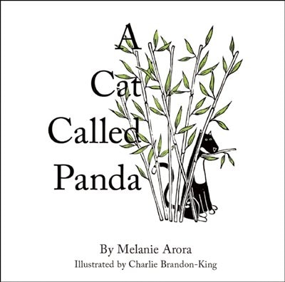 Front cover_A Cat Called Panda