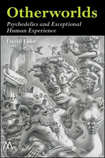 Otherworlds: Psychedelics and Exceptional Human Experience