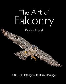 The Art Of Falconry