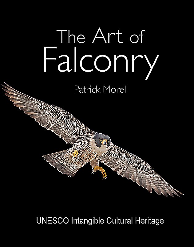 The Art Of Falconry