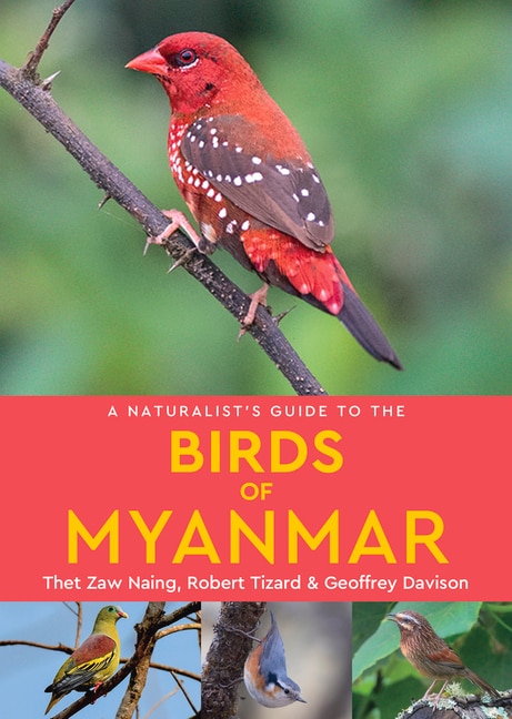 Front cover_A Naturalist's Guide to the Birds of Myanmar