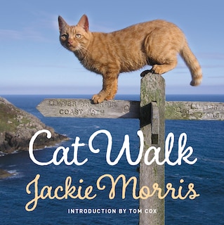 Front cover_Cat Walk