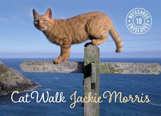 Front cover_Cat Walk Notecards