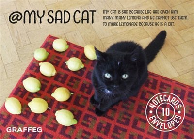 Couverture_My Sad Cat Notecards