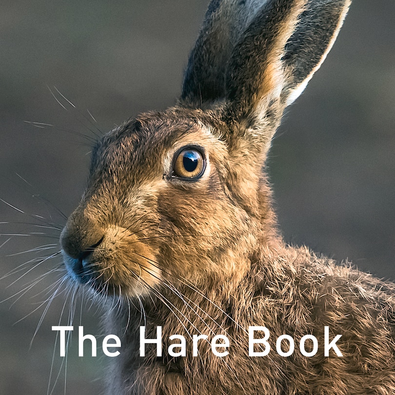 Couverture_The Hare Book