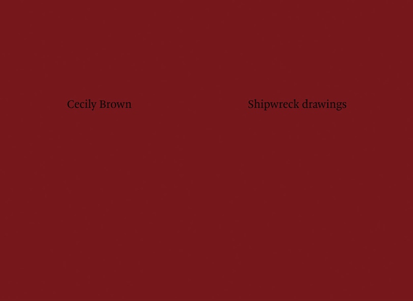 Front cover_Cecily Brown: Shipwreck Drawings